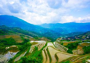 桂林龍勝棚田