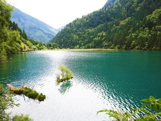 九寨溝・箭竹海